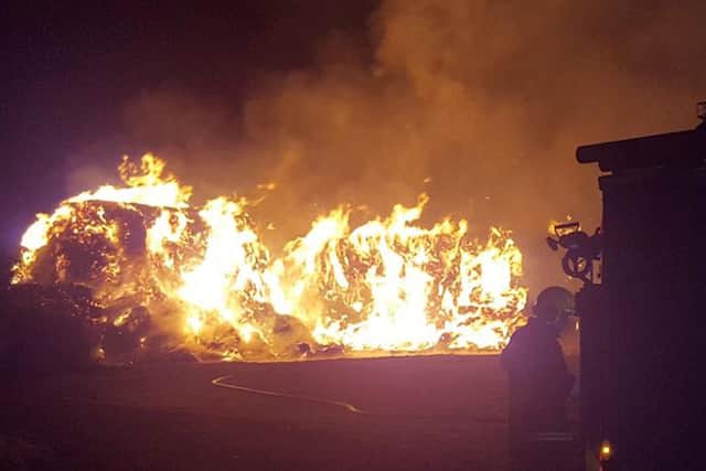Dramatic pictures capture scale of Titchfield farm fire