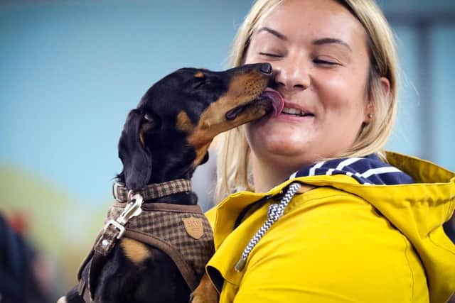 Jemma O'Grady with Shelby. East Hants Dachshund sports day in aid of charity.
Picture: Chris Moorhouse     (220919-01)