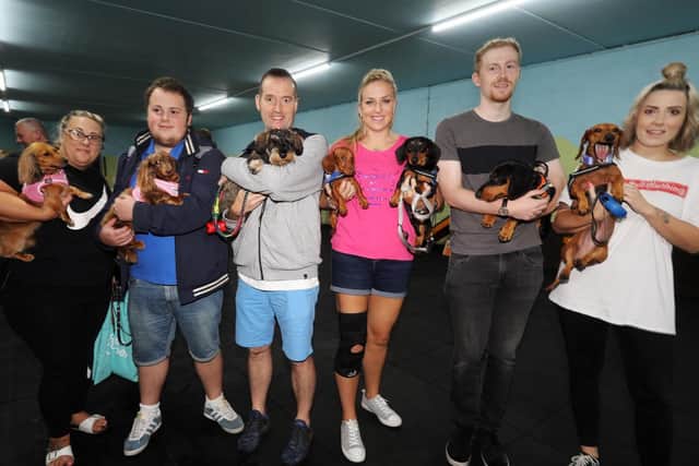 From left, Hayley Harris and Fifi, Ben Harris and Dizzy, Jon Hibbert and Mabel, Harriet Newman-Rose with Lt Maverick and Lord Dashington, Jamie Neve with Podrick and Megan Wraxall with another Fifi.
Picture: Chris Moorhouse     (220919-06)