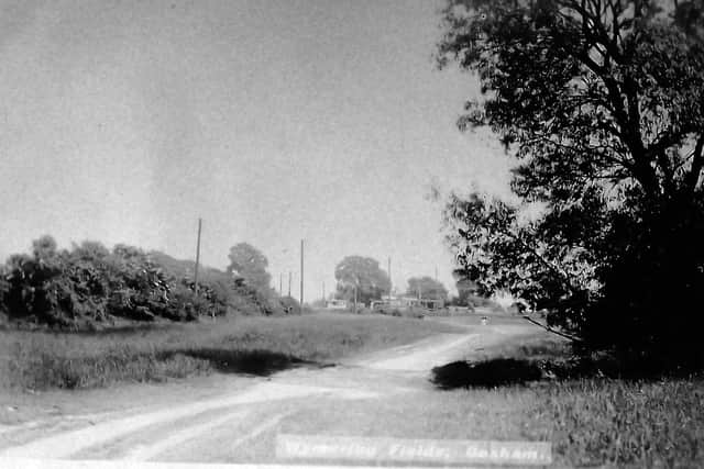 Wymering Fields, now part of King George V playing fields, Cosham. Picture: Barry Cox collection.