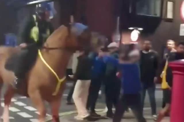 A man was caught on video punching a horse ahead of the Pompey v Saints match at Fratton Park.