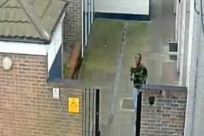 CCTV at Hastings House shows Michael Enzanga fleeing after stabbing PC Russell Turner at Stamshaw Park on February 21. Picture: Hampshire police