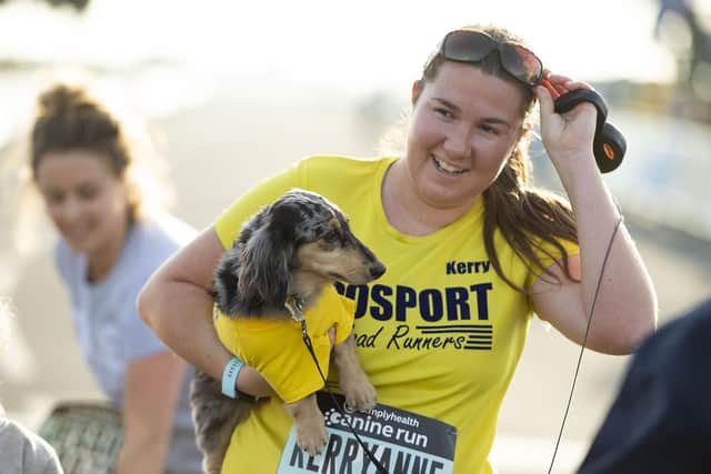 Entrants in the Canine Run
