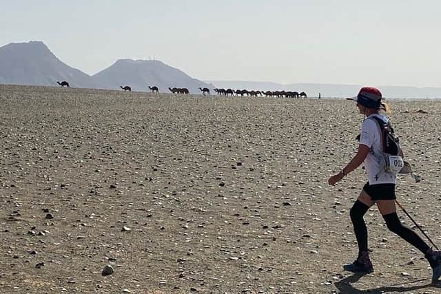 A group of friendly camels accompanied team True Colours along their route through the Sahara Desert as they walked two marathons in two days for the Rosemary Foundation