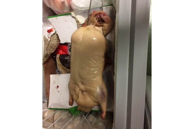 One of the ducks discovered at the Hong Kong Tea Bar in Lake Road, Portsmouth by city council hygiene inspectors 
Picture: Portsmouth City Council