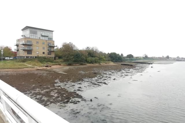 Eyewitnesses say the man was hauled back to dry land after swimming back to police. Picture: David George