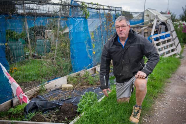 Gardeners Geoff Pescud near the allotment patch where his marrows were stolen. Picture: Habibur Rahman