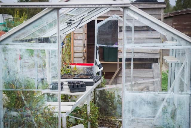 One of the green houses that was vandalised at the allotments. Picture: Habibur Rahman