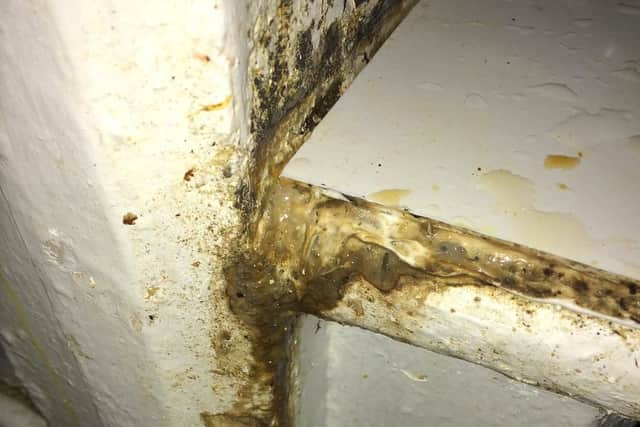Grease and food debris around preparation surface in kitchen