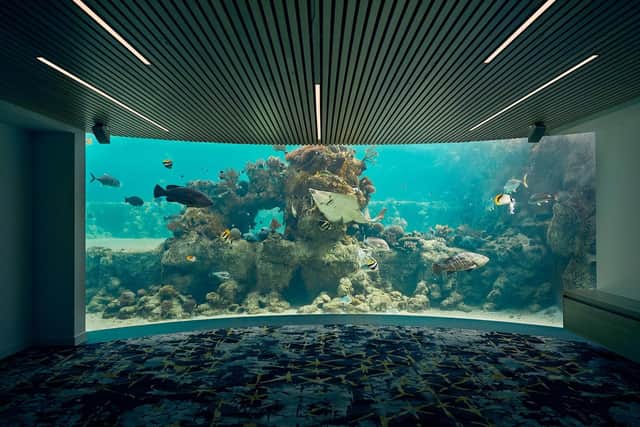 The Underwater Observatory at Daydream Island.