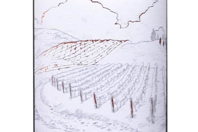 Pinot Noir Vineyard Ferment nv Greystone.