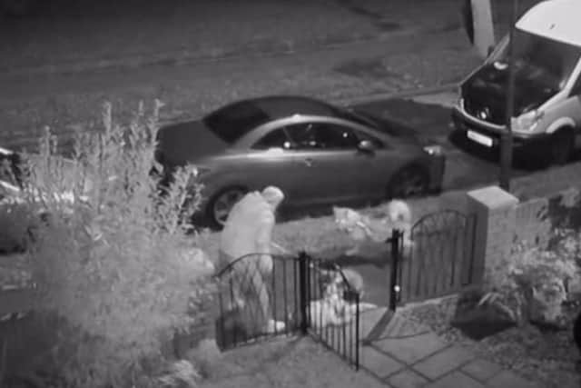 CCTV stills of a husky attacking another dog.
