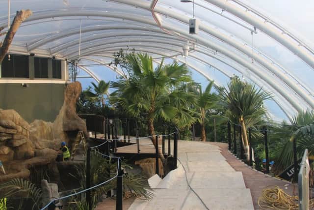 Marwell's new Â£8m Tropical House due to open in March 2018