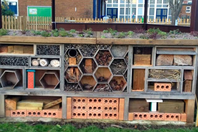 St Alban's Primary's bee wall