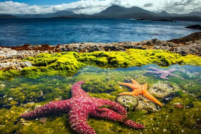 Coasts are explored in Blue Planet II.