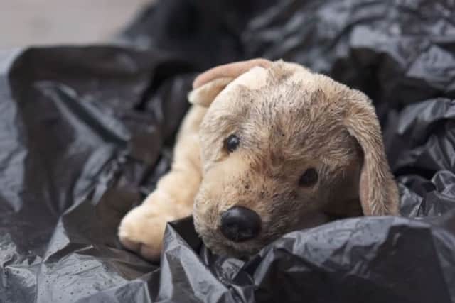 A still from the RSPCA's Christmas advert