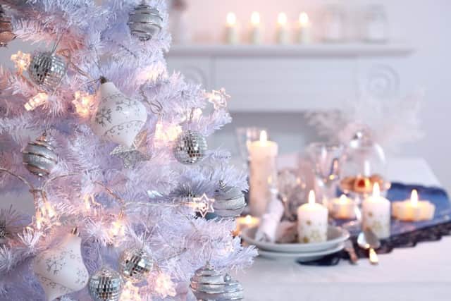 Until earlier this year, Lesley had a rather lovely fake white Christmas tree. It ended up in a skip...               (Shutterstock)