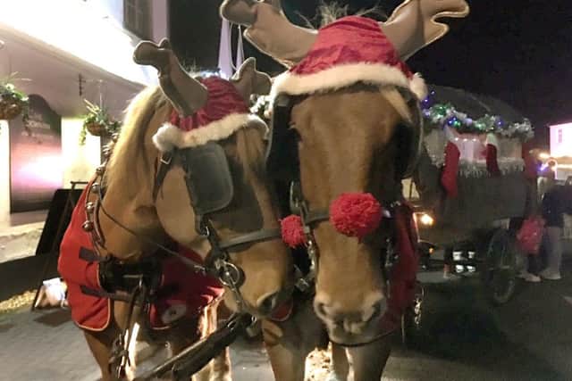 Bishop's Waltham Christmas Fayre Picture: Rachel Edge