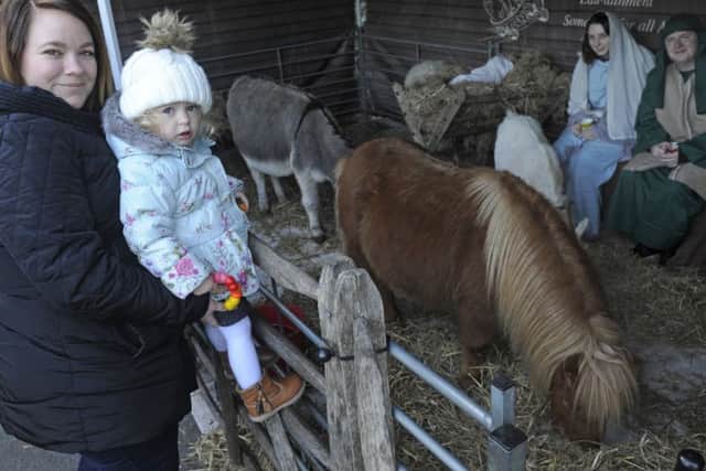 Visitors enjoyed the realism of a live nativity event held at Holy Rood Church, Stubbington. Helen Thomas and her daughter Ida look at the animals
Picture: Ian Hargreaves (171673-1)