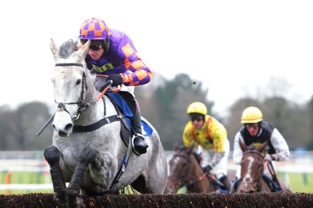 Richard Johnson partnered Greyed A to victory. Picture: Fontwell Park