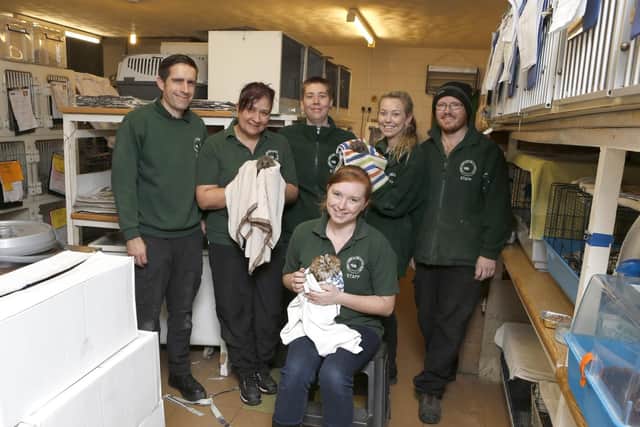 Staff at Brent Lodge. From left: Darren Ashcroft, Tanya Durrant, Sam Thorp, Anniemae Leason, Rob Jones and front, Emma Pink.
