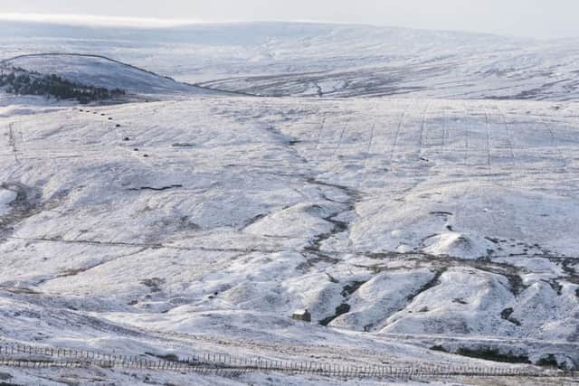Lesley says you can keep the white stuff, thank you!
Picture: Owen Humphreys/PA Wire