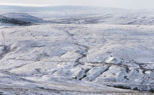 Lesley says you can keep the white stuff, thank you! 
Picture: Owen Humphreys/PA Wire