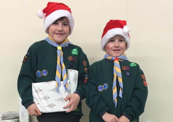Seth and Joseph Newman, eight, part of the Sixth Gosport Scouts' Cubs troop. Picture: Lisa Young
