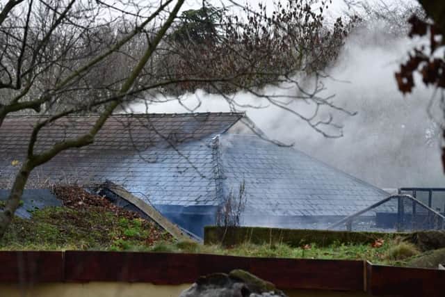 Smoke billowingfrom London Zoo's Adventure Cafe and Shop. Credit: Dominic Lipinski/PA Wire