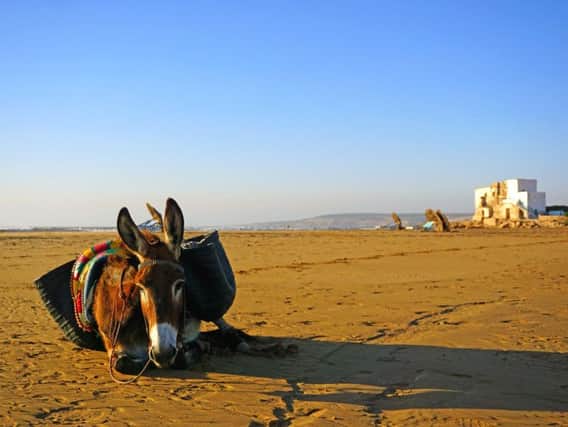 Camel trekking is a feature of Sidi Kaouk beach.