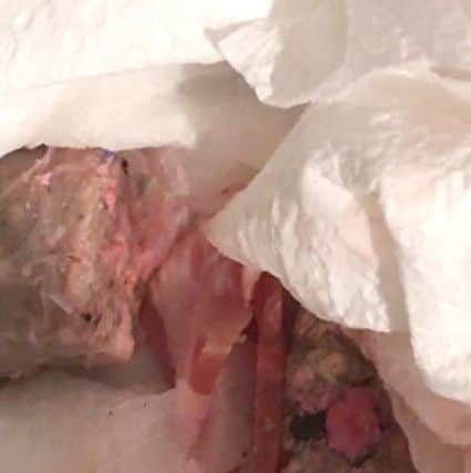 The poisoned meat package thrown into the garden