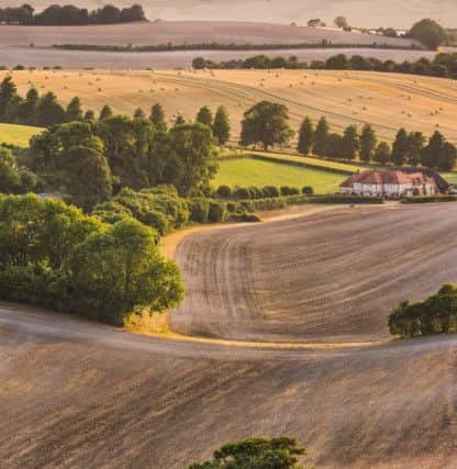 WINNER: Ron DeAths Harvest Home taken from Butser Hill