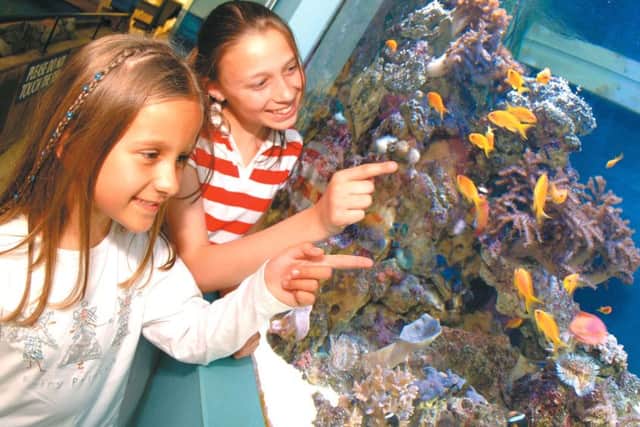 Marine experts at the Blue Reef Aquarium in Southsea are holding a Fish Keepers Weekend for budding home aquarists on january 20 and 21