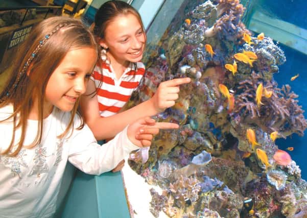 Marine experts at the Blue Reef Aquarium in Southsea are holding a Fish Keepers Weekend for budding home aquarists on january 20 and 21