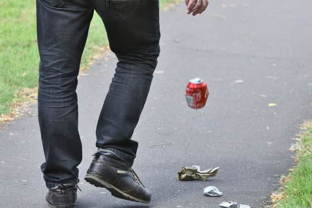 Litter