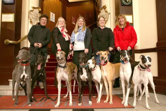 Mel Abell, Sarah Redpath, Vicky Worsdale, Emily Dorey and Suzanne Englezos with all the greyhounds     Picture: Habibur Rahman