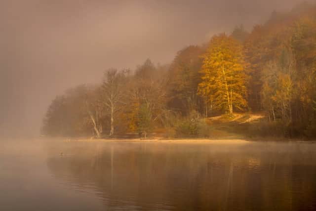 Autumn at Lake Bohinj, Slovenia