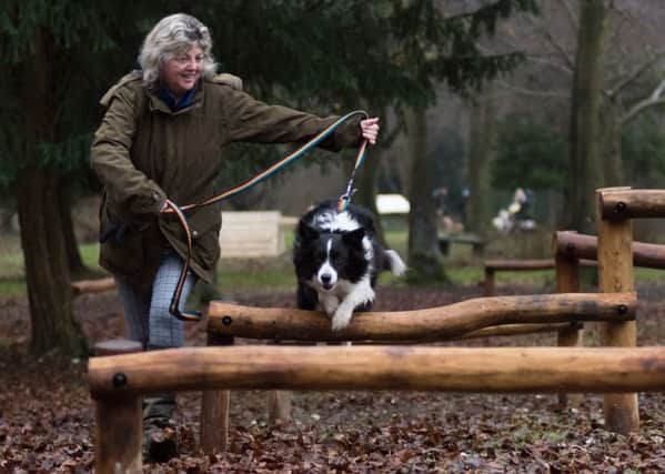 The official opening of the Fort and Fleet Dog Activity Trail at Queen Elizabeth Country Park. Picture by Duncan Shepherd