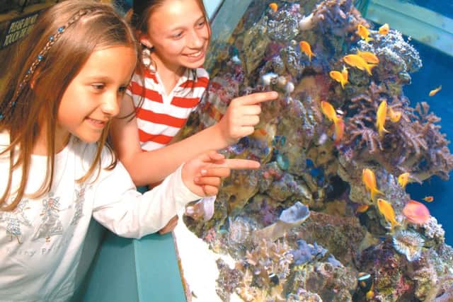 Marine experts at the Blue Reef Aquarium in Southsea are holding a Fish Keepers Weekend for budding home aquarists on January 20 and 21