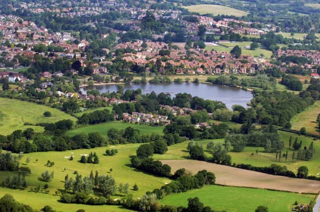 Perfect escape, and it's free: Heath Pond, Petersfield