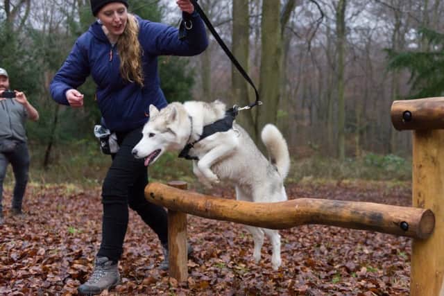 Jessica Mackey with Kayla. Picture by Duncan Shepherd