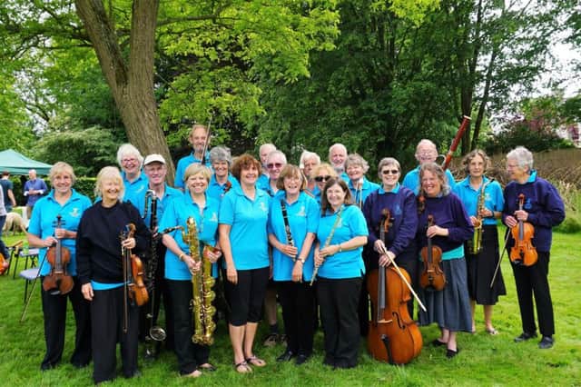 The Meon Valley Orchestra whose debut concert will be in aid of the UK Gout Society. MPs have wished the musicians luck