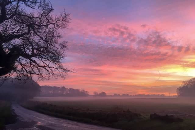 VALERIE GAZZARD Sunset near South Boarhunt