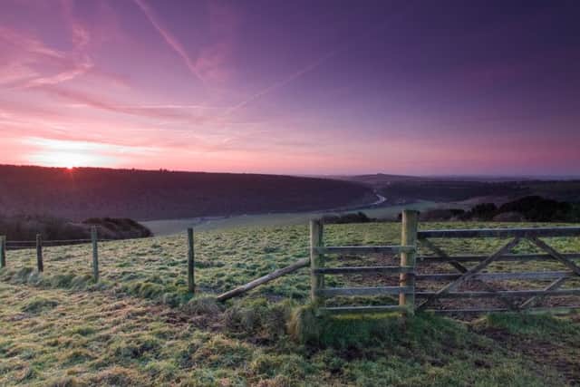 VALERIE GAZZARD Butser Hillsunrise