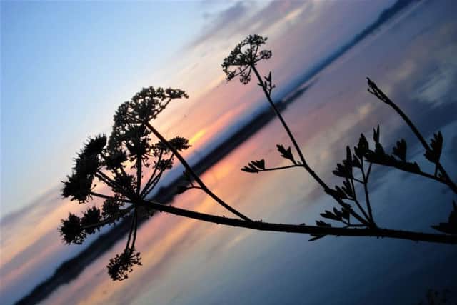 Hayling silhouette by Lorraine Nethersole