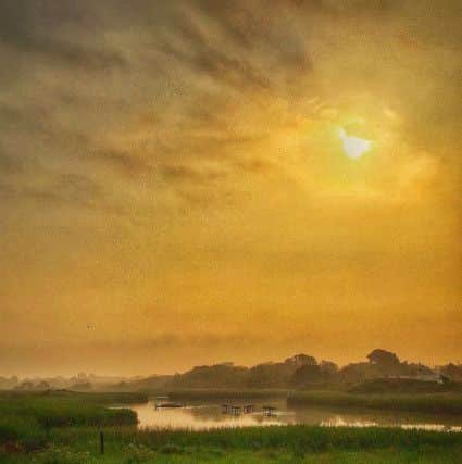 SIMON HIGGINS Titchfield Nature Reserve