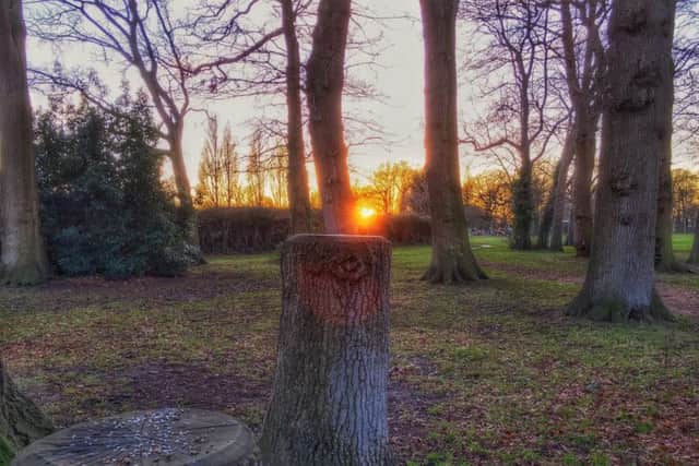 SIMON HIGGINS Stubbington Park sunset