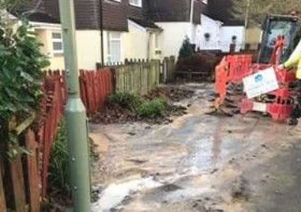 The damage from the burst water pipe in Coltsfoot Drive, Stakes, Waterlooville. Picture: Nicky Tricker