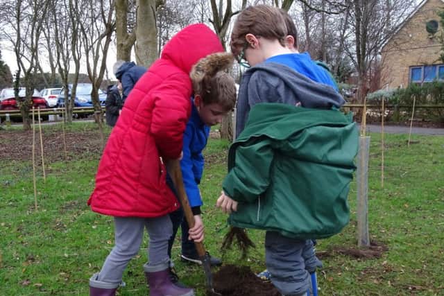 Students from Wicor Primary School in Portchester planting new trees