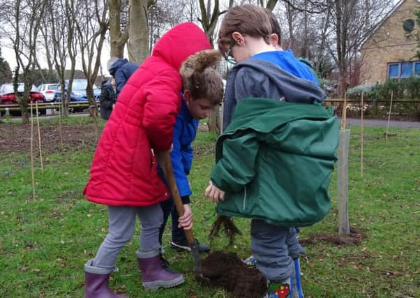 Students from Wicor Primary School in Portchester planting new trees